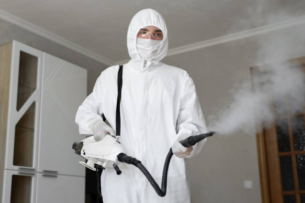 Best Mold Prevention Services  in Leominster, MA