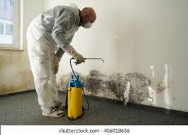 Best Emergency Mold Remediation  in Leominster, MA